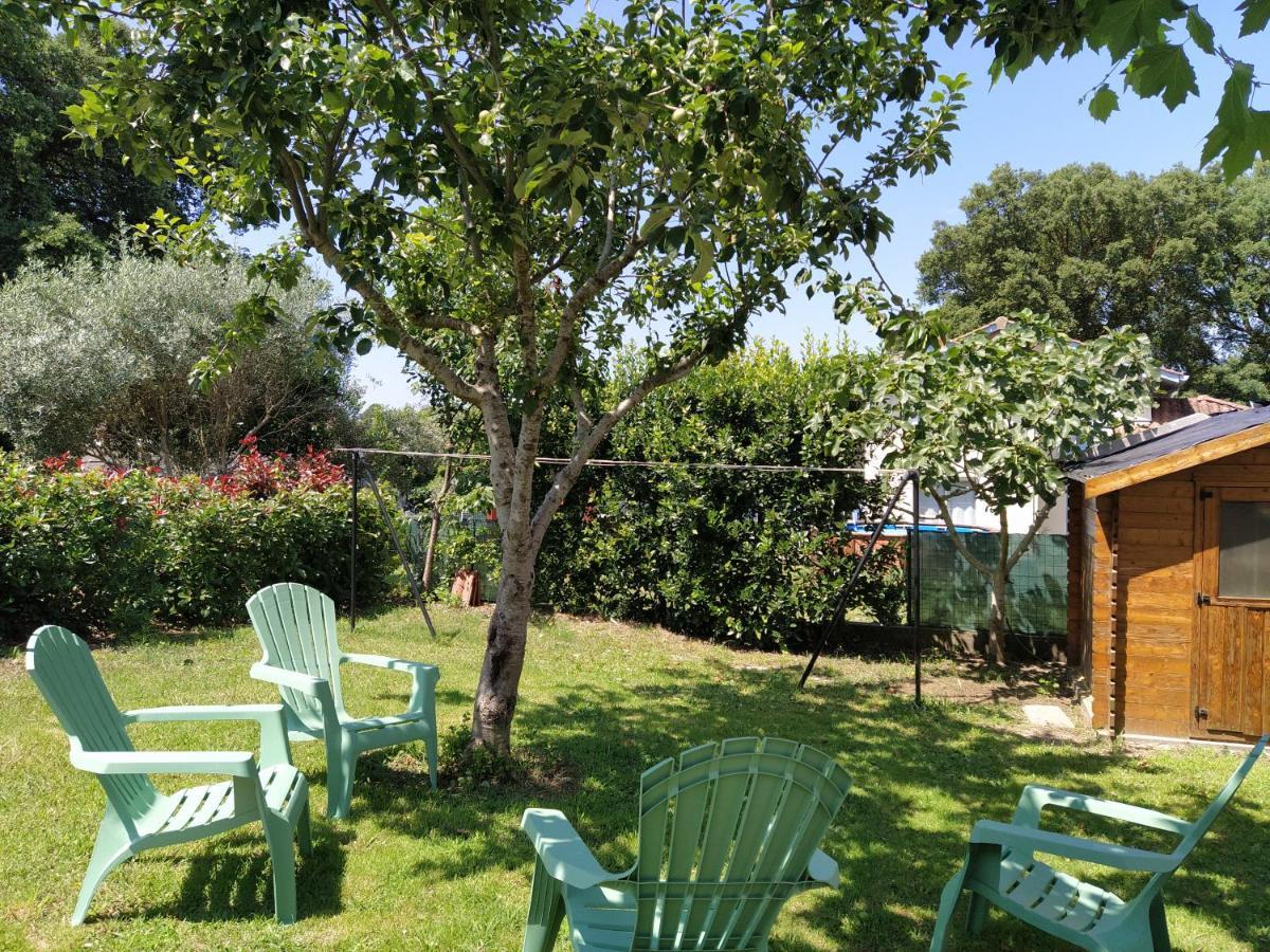 Maison Christy, Spacieux, Calme Avec Jardin Ondres Esterno foto